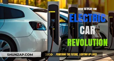 Navigating the Electric Car Revolution: Strategies for Success and Innovation