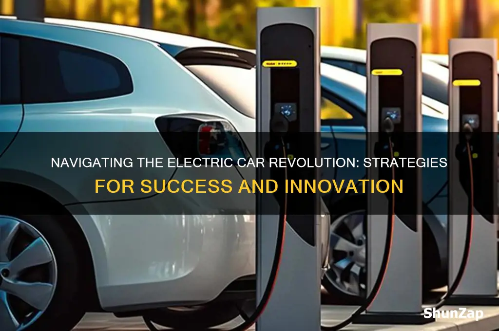 how to play the electric car revolution