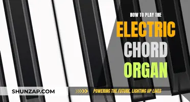 Mastering the Electric Chord Organ: A Beginner's Guide