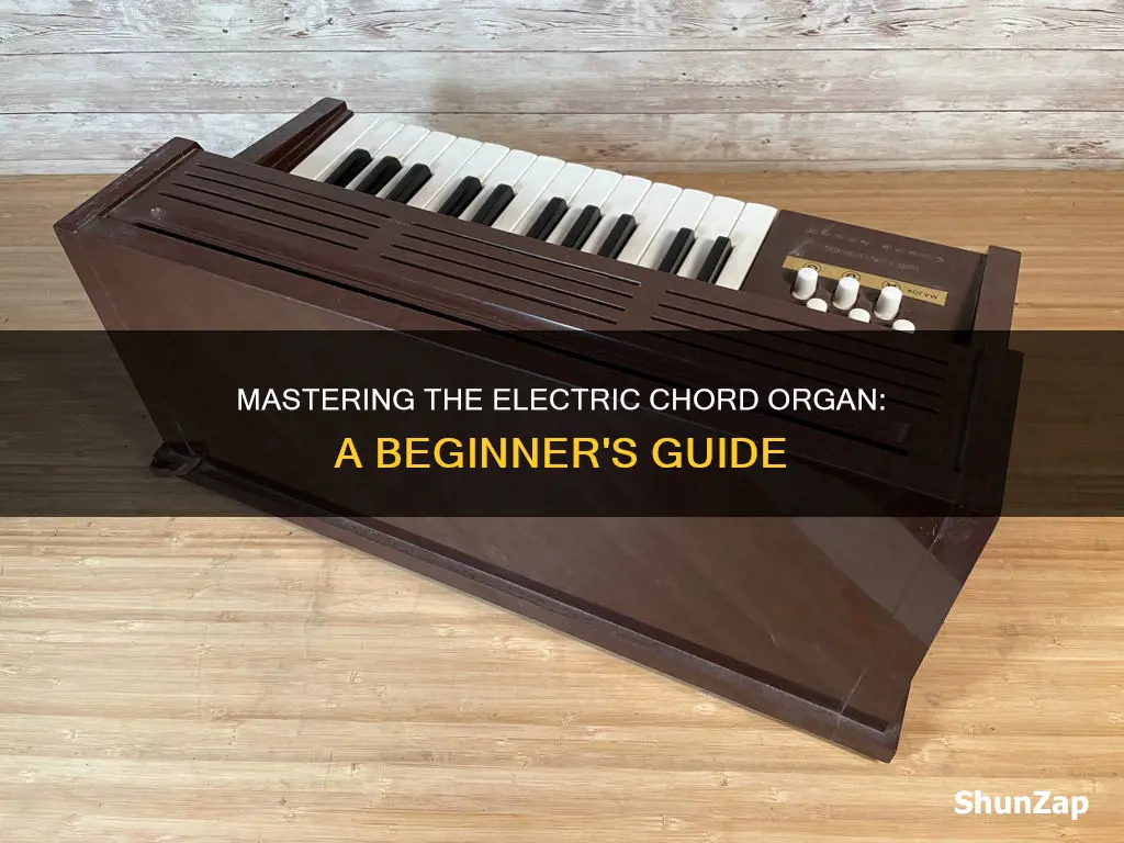 how to play the electric chord organ