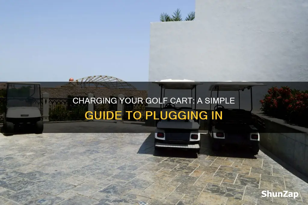 how to plug in electric golf cart