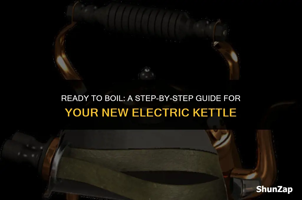 how to prepare electric kettle for first use