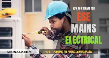 Strategies for ESE Mains Electrical Success