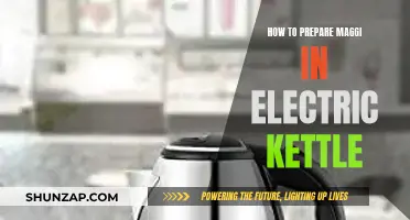 Quick Maggi in Your Electric Kettle