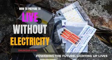 Preparing for a Life Without Electricity: Survival Guide Basics