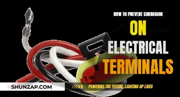 Protecting Electrical Terminals: Preventing Corrosion