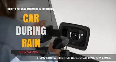 Preventing Moisture Damage in Electric Cars During Rainy Weather