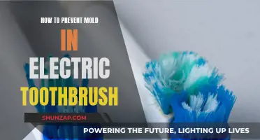 Prevent Mold in Your Electric Toothbrush