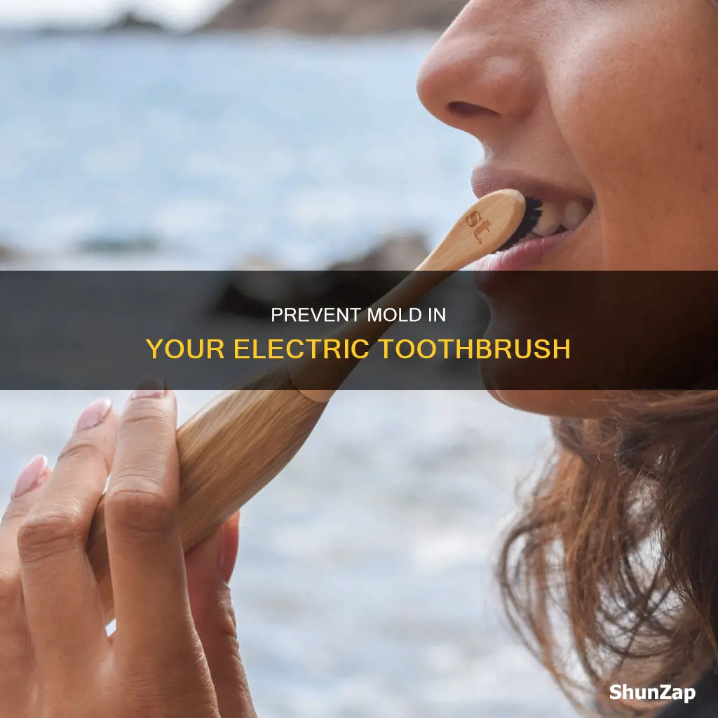 how to prevent mold in electric toothbrush