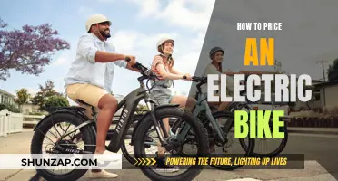 Electric Bike Pricing: Factors and Strategies for Success