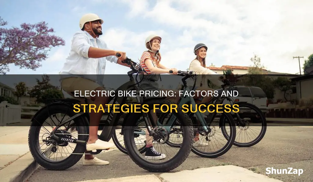 how to price an electric bike