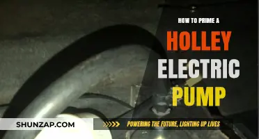 The Ultimate Guide to Priming Your Holley Electric Pump