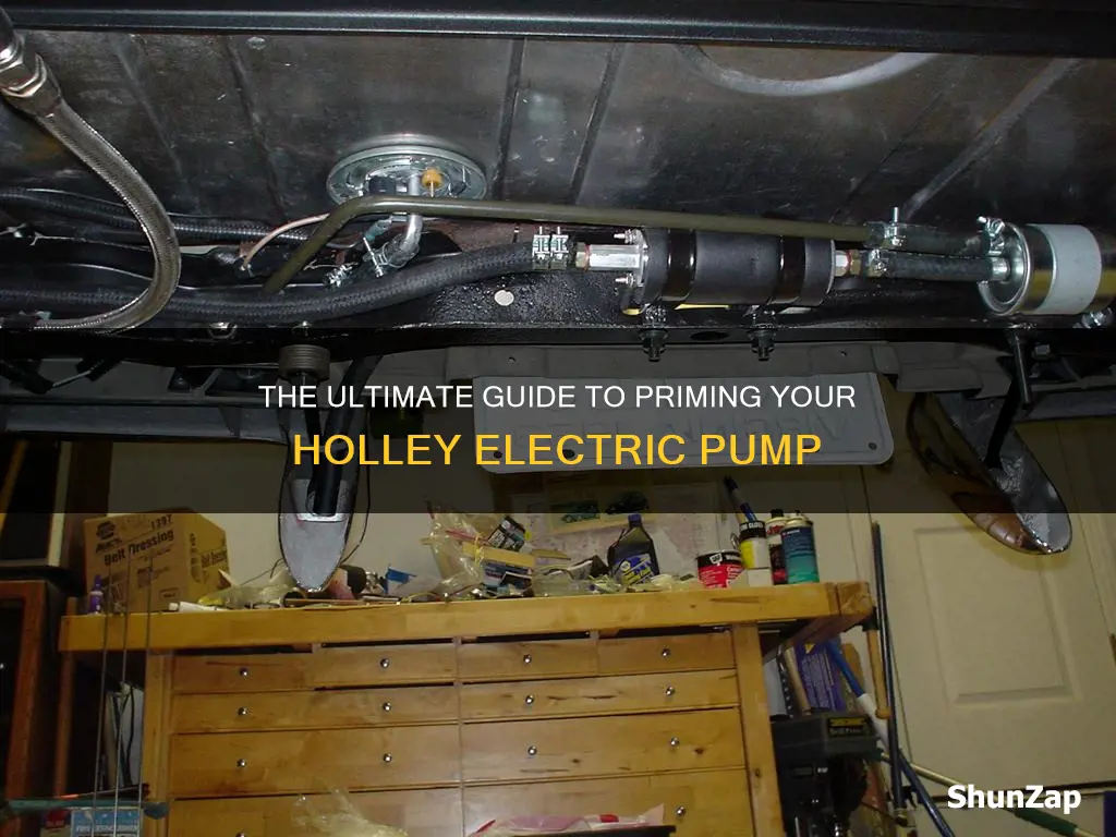 how to prime a holley electric pump