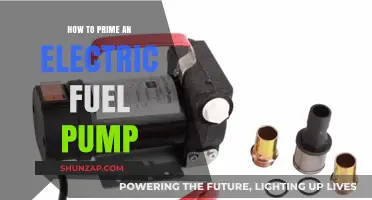 Priming Your Electric Fuel Pump: A Step-by-Step Guide