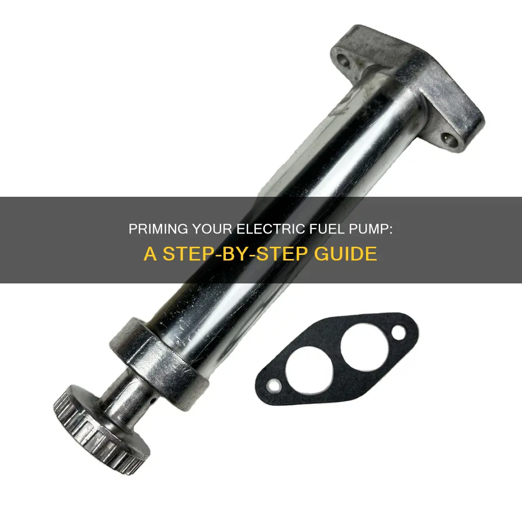 how to prime an electric fuel pump