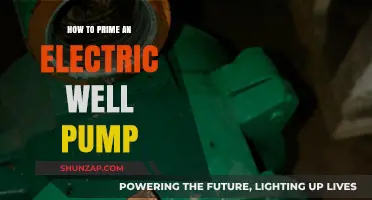 The Ultimate Guide to Priming Your Electric Well Pump