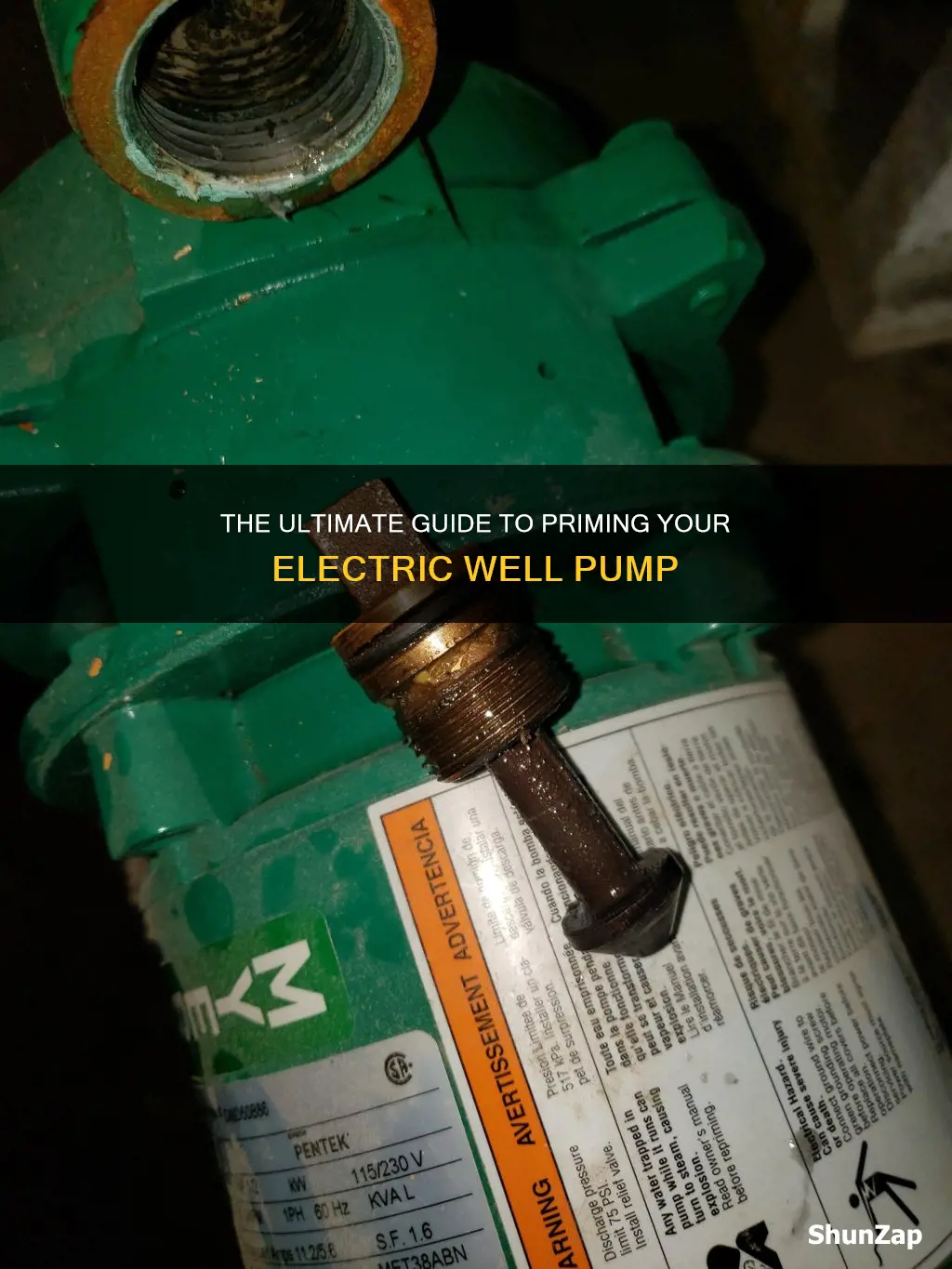 how to prime an electric well pump