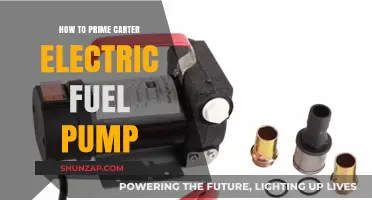 Priming Carter Electric Fuel Pumps: A Step-by-Step Guide