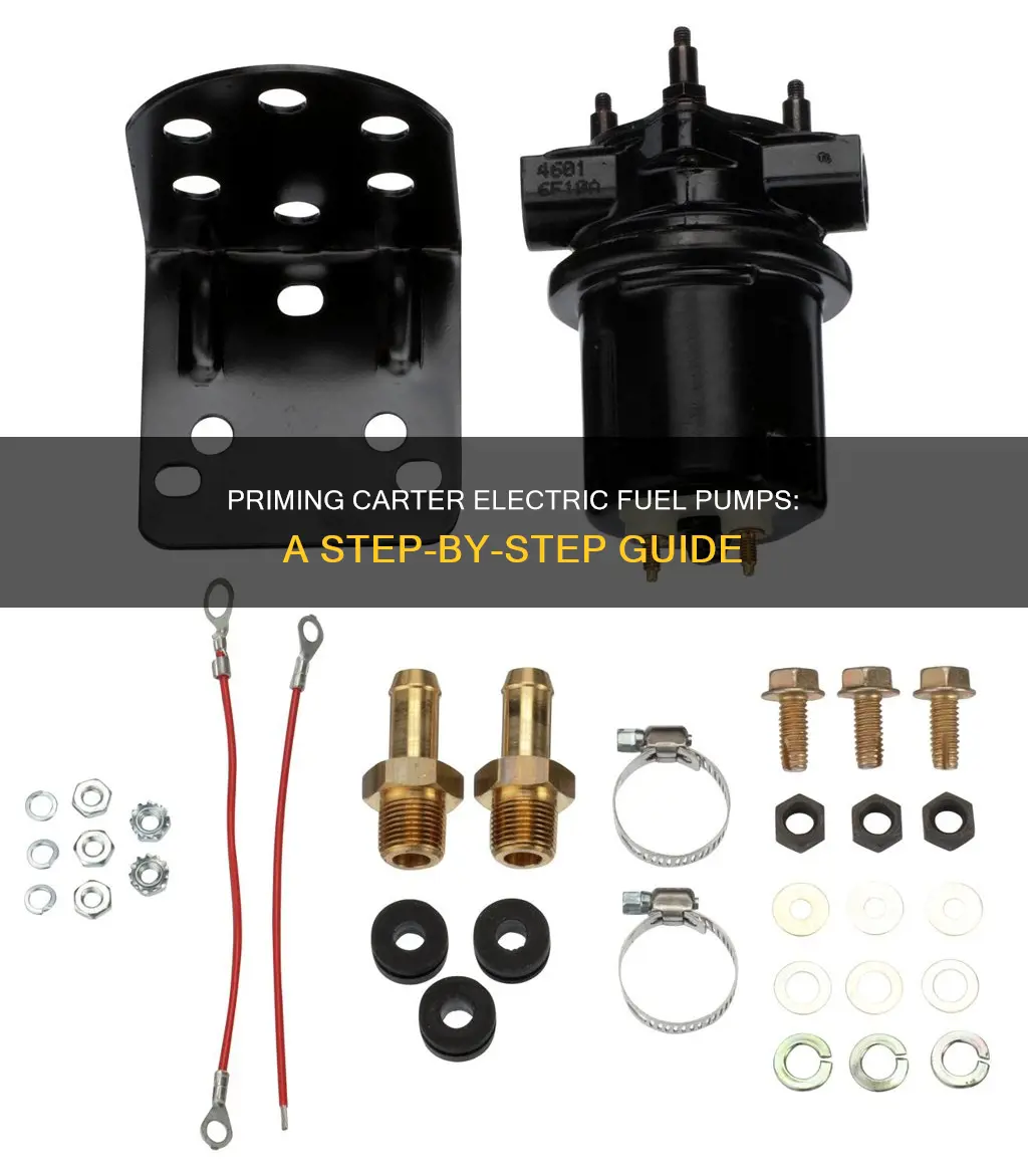 how to prime carter electric fuel pump