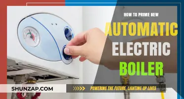 The Ultimate Guide to Priming Your New Electric Boiler