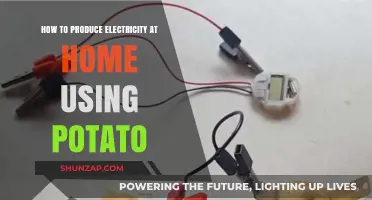 Spud Power: A Simple Guide to Generating Electricity at Home with Potatoes