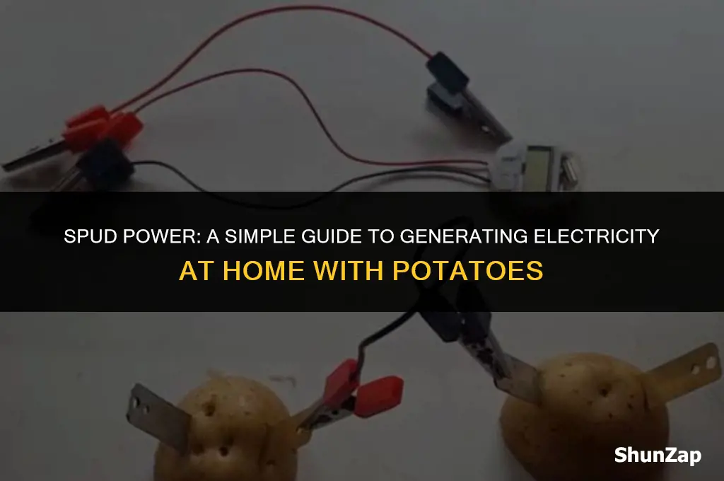 how to produce electricity at home using potato