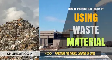 Sustainable Power: Producing Electricity from Waste Materials