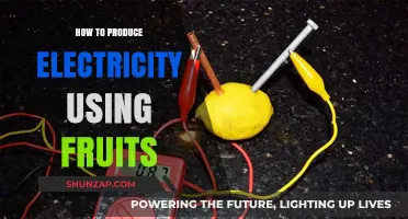 Fruit Power: Harnessing Electricity from Nature's Bounty
