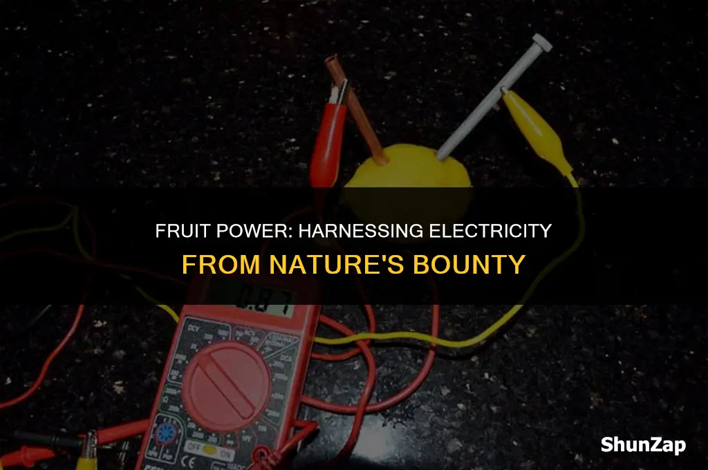 how to produce electricity using fruits