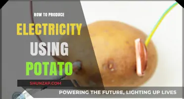 Potato Power: Simple Steps to Generate Electricity at Home