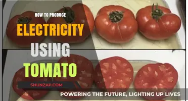 Harvesting Watts from Tomatoes: A Guide to Bioelectric Power Generation