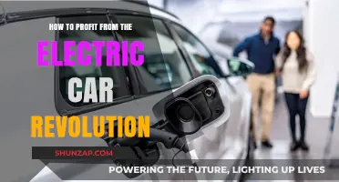Maximizing Profits: Strategies to Capitalize on the Electric Car Boom