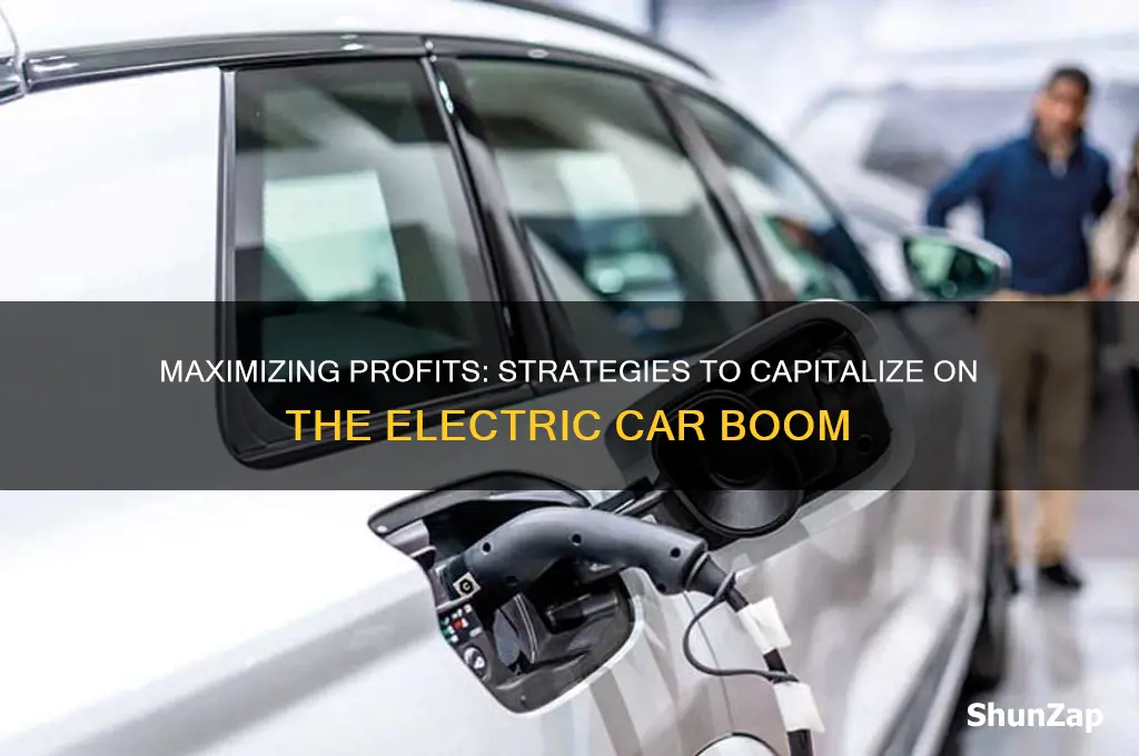 how to profit from the electric car revolution