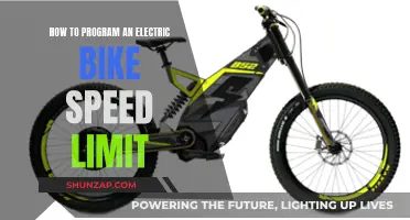 Programming an E-Bike: Speed Limit Customization