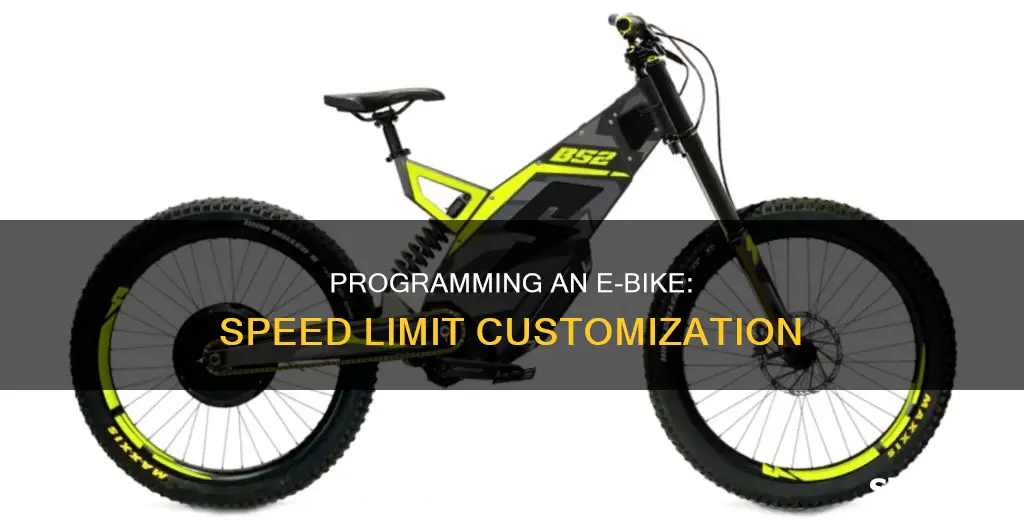 how to program an electric bike speed limit