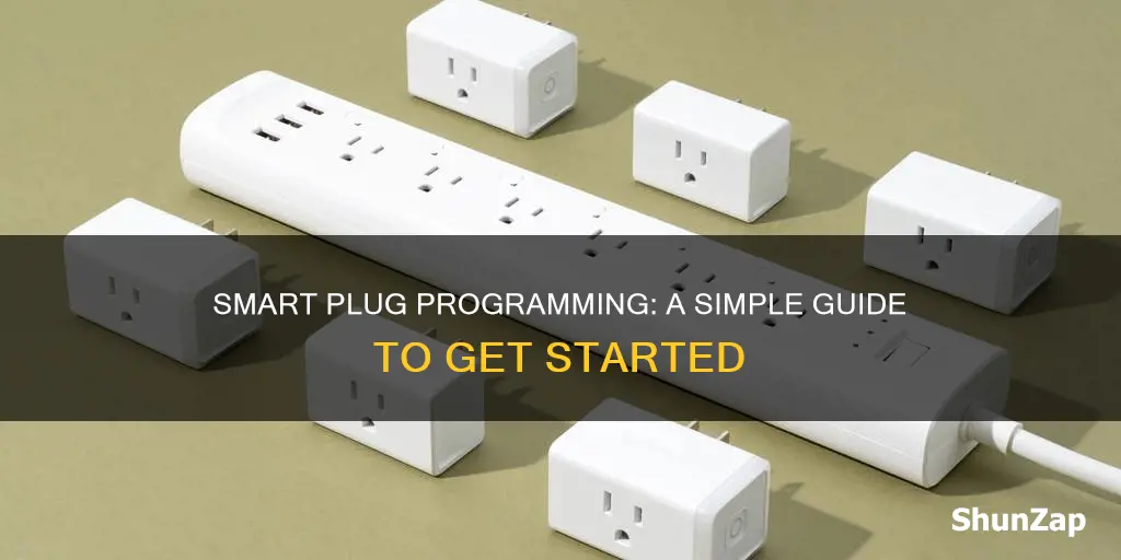 how to program commercial electric smart plug