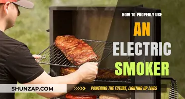 Mastering the Art of Electric Smoking: A Beginner's Guide