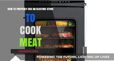 Mastering the Art of Cooking Meat on an Electric Stove