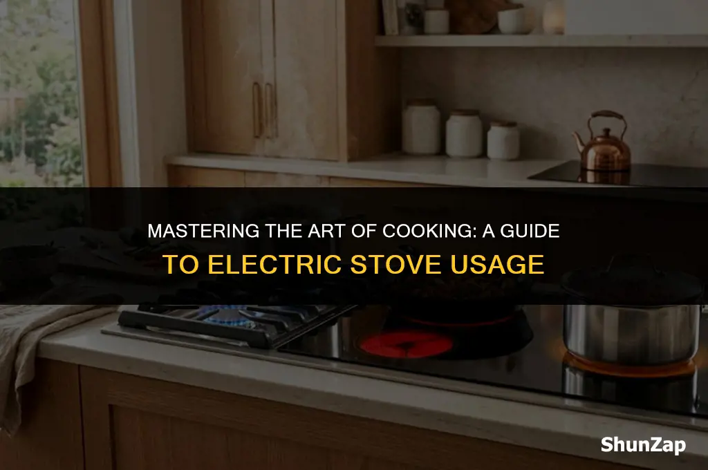 how to properly use an electric stove
