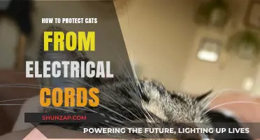 Protect Your Cat: Keep Electrical Cords Safe and Hidden