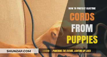 Protecting Electric Cords: Preventing Puppy Chewing and Biting