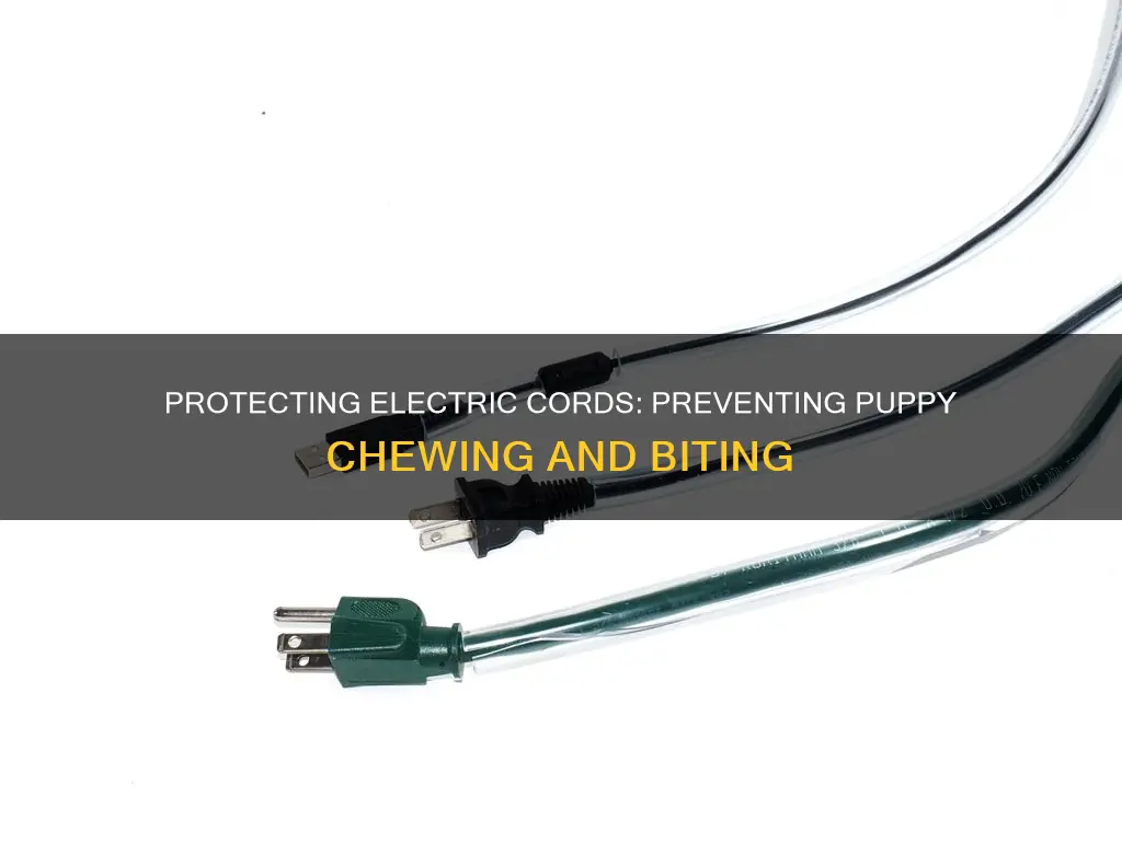 how to protect electric cords from puppies