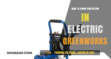 Pump Protector Maintenance: Greenworks Electric Guide