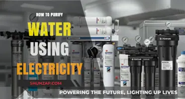 Electro-Purification: A Shockingly Simple Guide to Clean Water