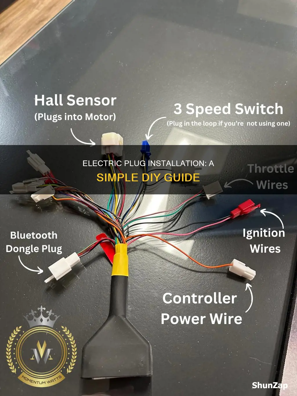 how to put a new electric plug