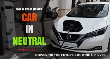 How to Safely Put Your Electric Car in Neutral Mode