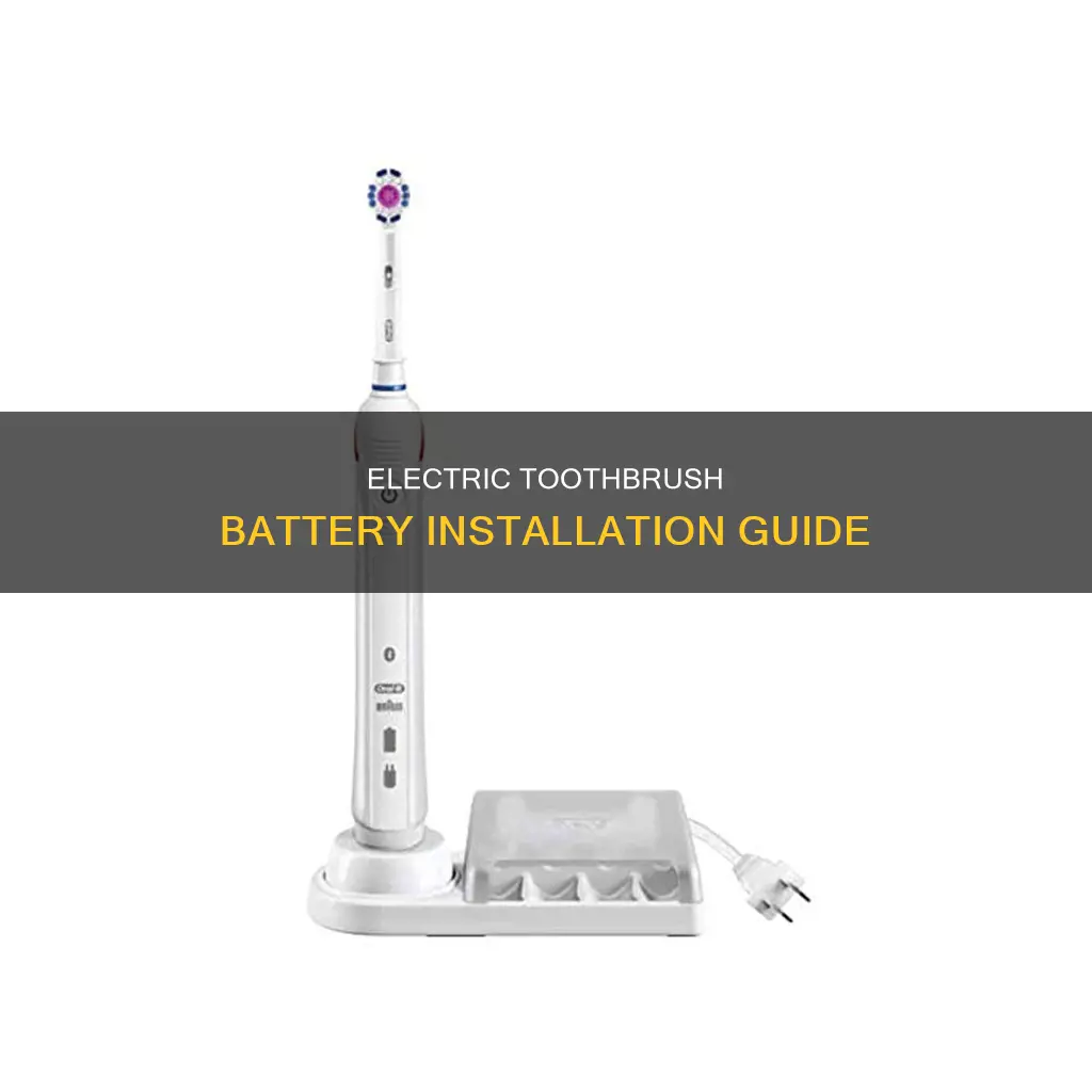 how to put batteries in electric toothbrush