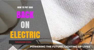 Electric Chai: How to Prepare the Perfect Cup