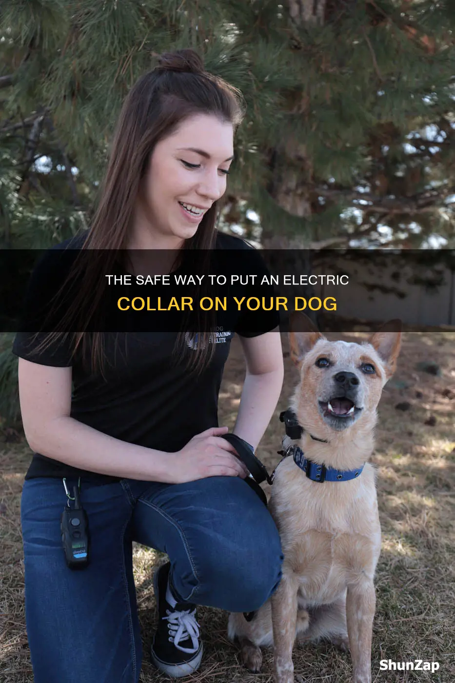 how to put electric collar on dog