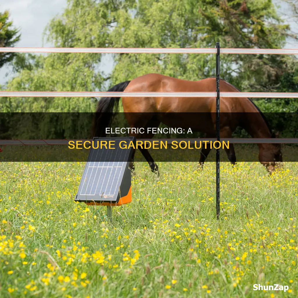 how to put electric fence around garden